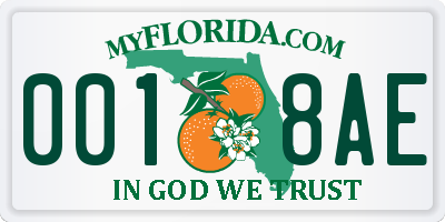 FL license plate 0018AE