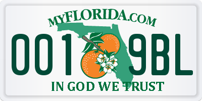 FL license plate 0019BL