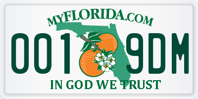 FL license plate 0019DM