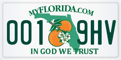 FL license plate 0019HV