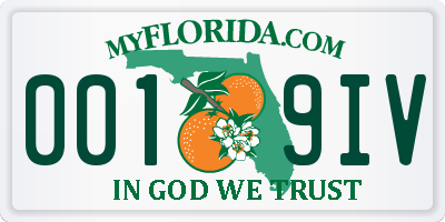 FL license plate 0019IV