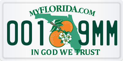 FL license plate 0019MM