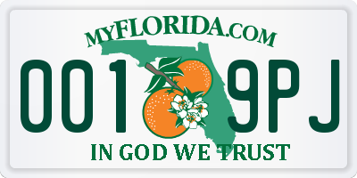 FL license plate 0019PJ