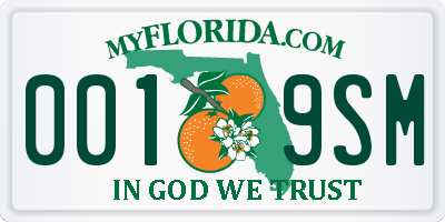 FL license plate 0019SM