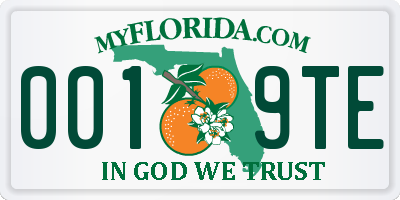 FL license plate 0019TE