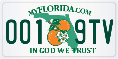 FL license plate 0019TV