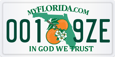 FL license plate 0019ZE
