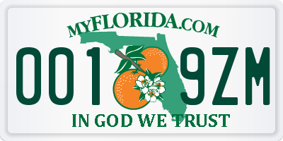 FL license plate 0019ZM