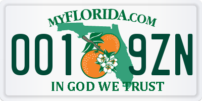 FL license plate 0019ZN