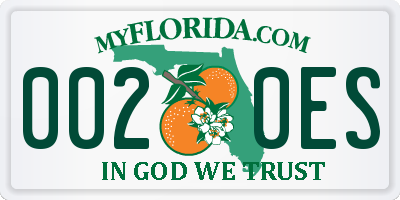 FL license plate 0020ES