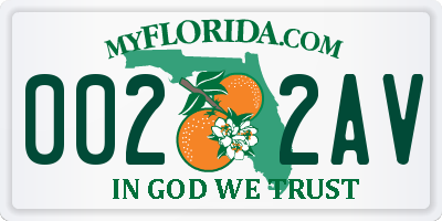 FL license plate 0022AV