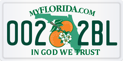 FL license plate 0022BL