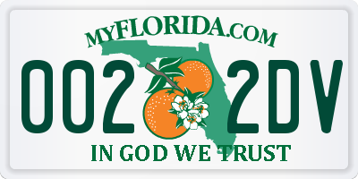 FL license plate 0022DV