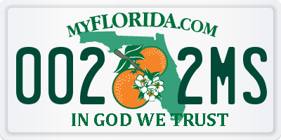 FL license plate 0022MS