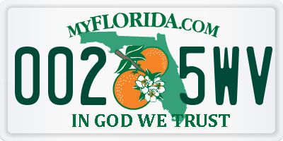FL license plate 0025WV