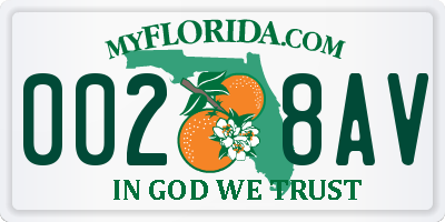 FL license plate 0028AV