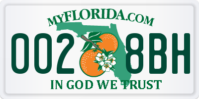 FL license plate 0028BH
