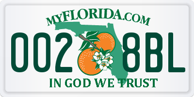 FL license plate 0028BL