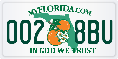 FL license plate 0028BU