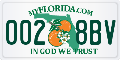 FL license plate 0028BV