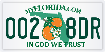 FL license plate 0028DR