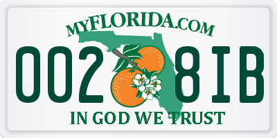 FL license plate 0028IB
