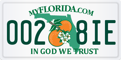 FL license plate 0028IE