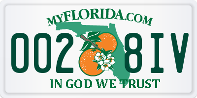 FL license plate 0028IV