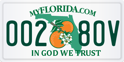 FL license plate 0028OV