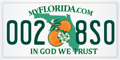 FL license plate 0028SO