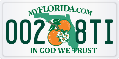 FL license plate 0028TI