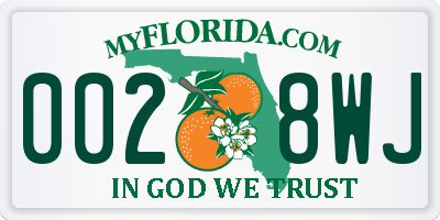 FL license plate 0028WJ