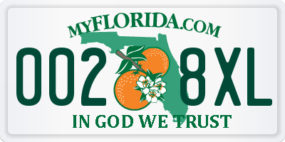 FL license plate 0028XL