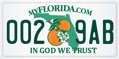 FL license plate 0029AB