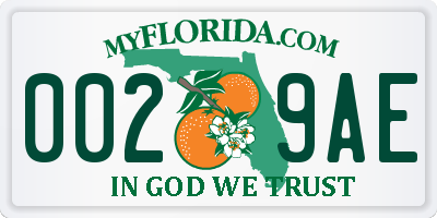 FL license plate 0029AE