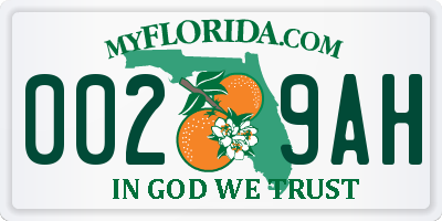 FL license plate 0029AH