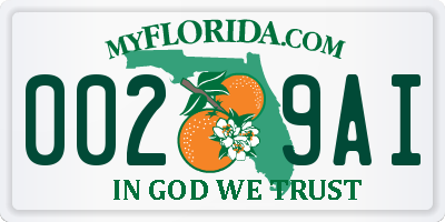 FL license plate 0029AI