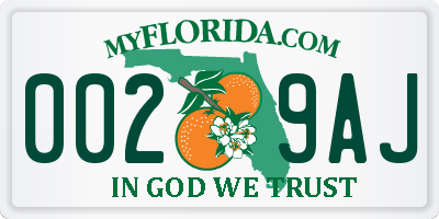 FL license plate 0029AJ