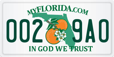 FL license plate 0029AO