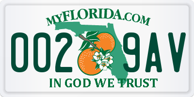 FL license plate 0029AV