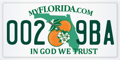 FL license plate 0029BA
