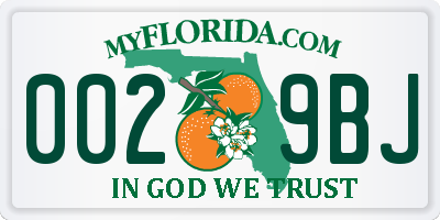 FL license plate 0029BJ