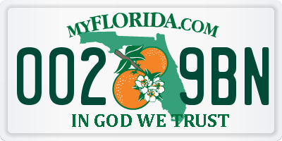 FL license plate 0029BN