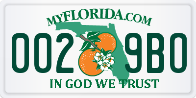 FL license plate 0029BO