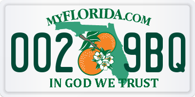 FL license plate 0029BQ