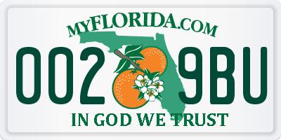 FL license plate 0029BU