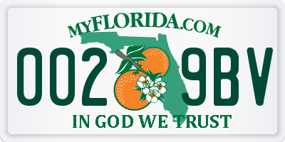 FL license plate 0029BV