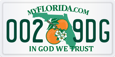 FL license plate 0029DG