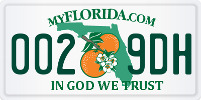 FL license plate 0029DH