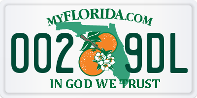 FL license plate 0029DL